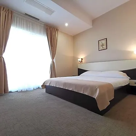 Hotel New Derby 3*